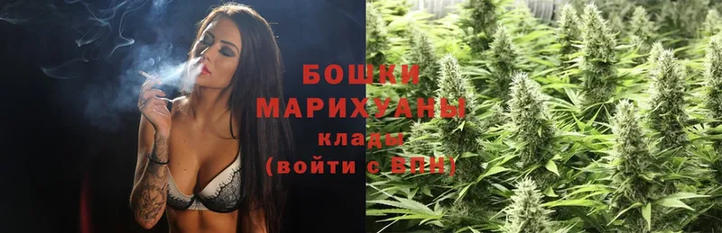 как найти   Боровичи  Шишки марихуана White Widow 